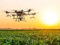 Les drones agricoles : des alliés incontournables pour la gestion des cultures