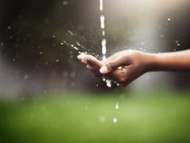 Gestion des ressources en eau : des stratégies novatrices pour une utilisation durable