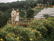 Comment rendre un jardin urbain plus écologique ?