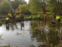 Curage d’étang : comment redonner vie à vos plans d’eau durablement ?