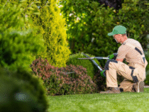 Espaces verts : comment les entretenir pour un cadre toujours accueillant ?