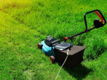 Vente de matériels de motocultures : bien s’équiper pour entretenir vos terrains