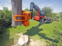 Abattage d’arbres : un service sécurisé et professionnel pour vos terrains