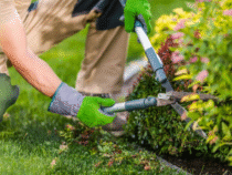Entretien d&rsquo;espaces verts : offrez un jardin soigné toute l’année