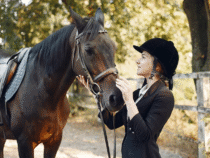 Équithérapie : améliorez bien-être et confiance grâce au cheval