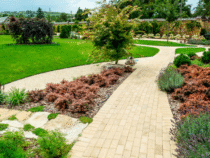 Aménagement d’espace vert : créez un jardin harmonieux et fonctionnel