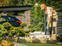 Aménagement d’espaces verts : créez un jardin unique et harmonieux