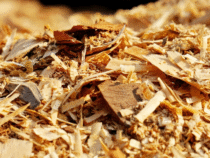 Pourquoi opter pour les copeaux de bois dans l’aménagement de votre jardin