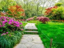 Engazonnement et plantation de massifs : embellissez durablement votre jardin