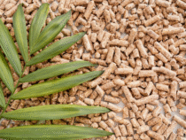 -Installation de chaudière à granulés : alliez confort et respect de l’environnement