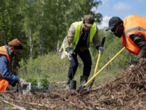 -Enfouissement de réseaux : un aménagement discret et sécurisé