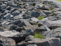 -Enrochement paysager : une solution esthétique et durable pour vos extérieurs