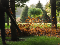 -Entretien d’espaces verts : des prestations professionnelles pour un jardin soigné