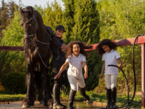 -Découvrir l’équitation nature : bienfaits et activités proposées