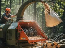 -Broyage de branches : une solution écologique pour vos déchets verts