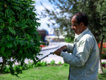 -Entretien de jardins