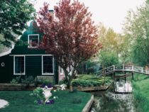 -Location de garden cottage : une escapade nature tout confort