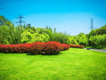 -Les étapes clés pour transformer un jardin existant