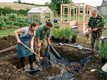 Construire sa phytoépuration soi-même : l’auto-construction accompagnée