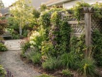 Citerne gaz aérienne : comment la cacher dans le jardin ?